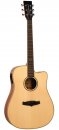 Tanglewood TP5 SE