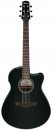 Ibanez AAM340CE RUB