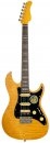 Larry Carlton S7 FM NT New Gen