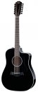 Taylor 250ce-BLK Plus