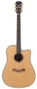 Arrow Platinum D CE SIT/RW Sitka/Rosewood