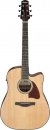 Ibanez AAD51CE-NT
