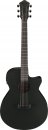 Ibanez AEG621-BOT