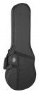 Boston CLP-250 Soft-case do Les Paula