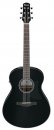 Ibanez AAM100E-BK