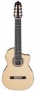 Ibanez GA3008CE-NT