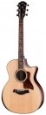 Taylor 814ce LTD Cocobolo