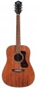 Guild D-320 NAT