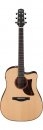 Ibanez AAD300CE-LGS
