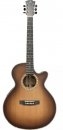 Dowina Rioja GACE-LB-s LR Baggs SPE