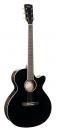 Cort Exotic SFX Ash BK