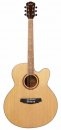 Carter Guitars AJ-110SCE NL