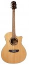 Carter Guitars AT-130SCE NL