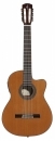 Alvarez AC 65 CE
