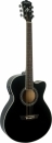 Washburn EA12 B