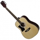 Ever Play AP-500 LH N