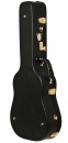 Ever Play F-Deluxe Acoustic Case