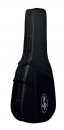 Ever Play PA-1 Acoustic
