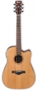 Ibanez AW65ECE LG
