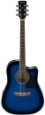 Ibanez PF15ECE TBS