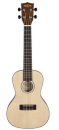 Kala KA SSTU C EQ Concert Ukulele