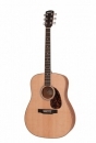 Larriv�e Recording Series 03E D Dreadnought