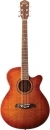 Washburn OG 10 CE FYS