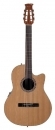 Ovation Applause AB24CII NS
