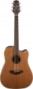 Takamine GD20CE NS