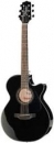 Takamine GF15CE BLK