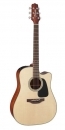 Takamine P2DC