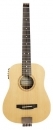Traveler ACOUSTIC AG-105EQ