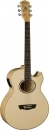 Washburn EA 20 N
