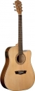 Washburn WD 7 SCE N