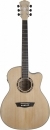 Washburn AG40 CE FN