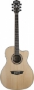 Washburn AG70 CE N