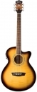 Washburn EA15 ATB