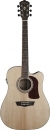 Washburn HD 20 SCE N