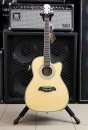 Washburn OG 1 CE N