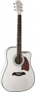 Washburn OG2CE WH