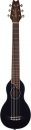 Washburn RO 10 B