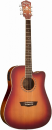 Washburn WD 7 SCE ACS
