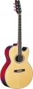 Washburn EA10