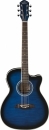Washburn OA CE FTBL