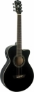 Washburn EA10 B