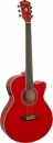 Washburn EA12 R