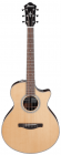 Ibanez AE300ZRJR NT