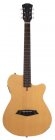 Larry Carlton G5A NTS EXPO