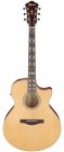 Ibanez AE170 NTR