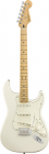 Fender Player Stratocaster MN PWT